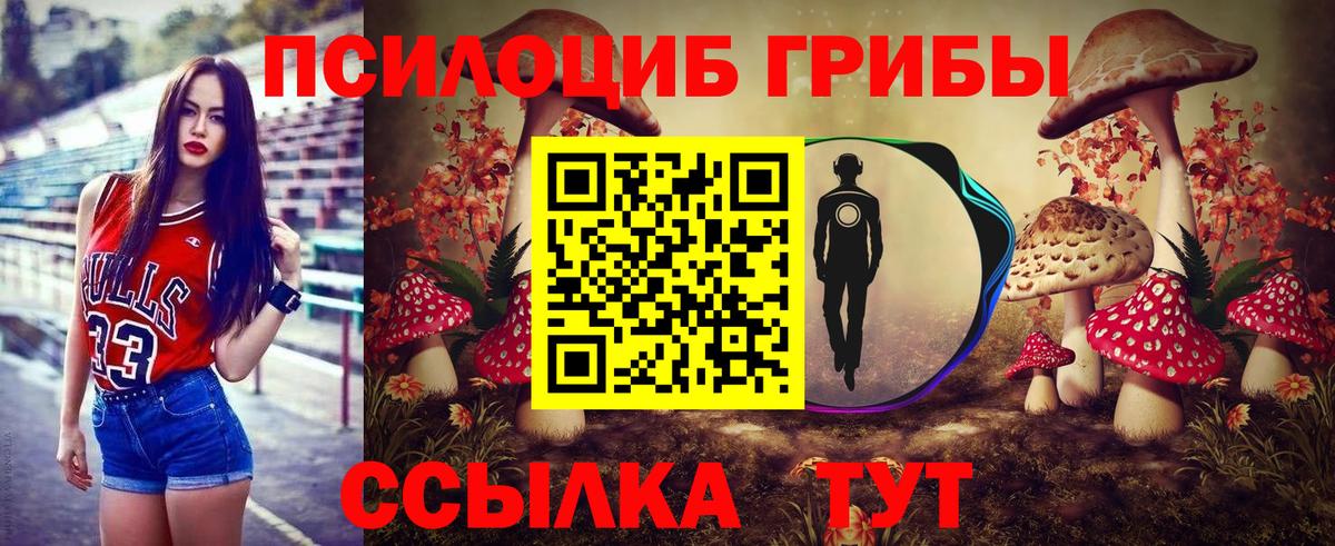 Галлюциногенные грибы ЛСД  продажа наркотиков  Южноуральск  Псилоцибиновые грибы Psilocybe  Вход с VPN 